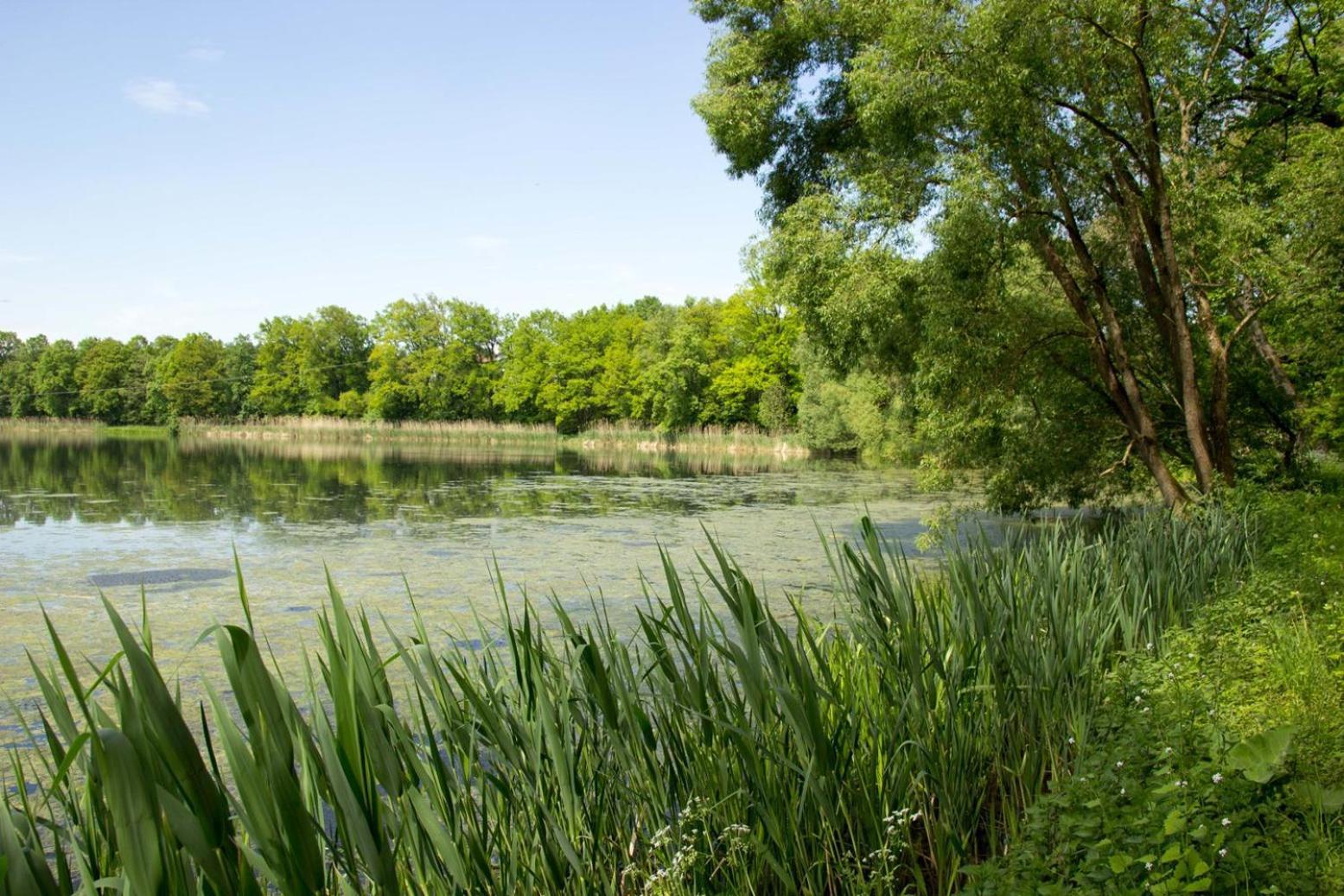 Western An Der Obermaintherme Bad Staffelstein